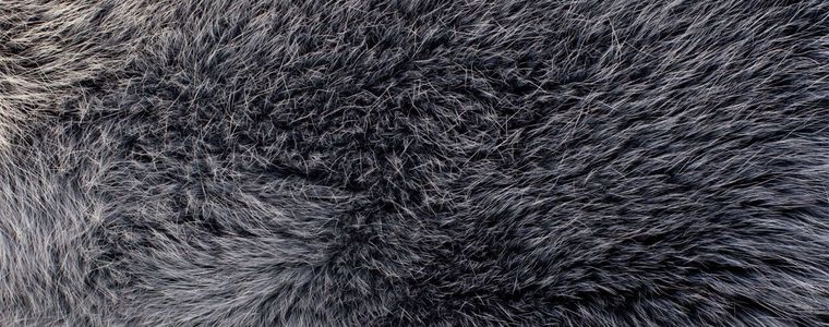 FUR